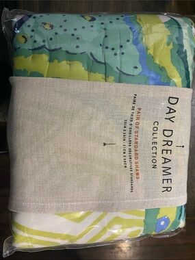 Daydreamer Green and Yellow Abstract Pattern Pillow Shams